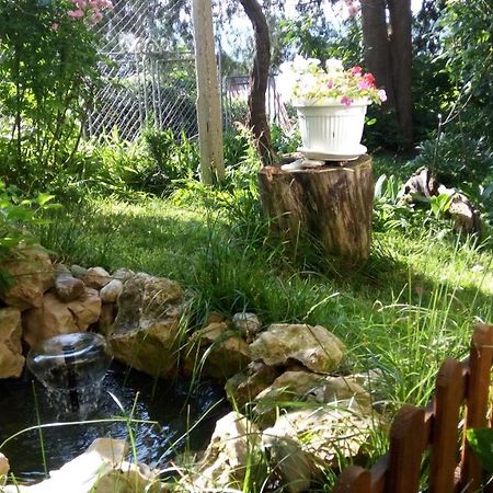 Belivanovi B&B House فيليكو ترنوفو المظهر الخارجي الصورة