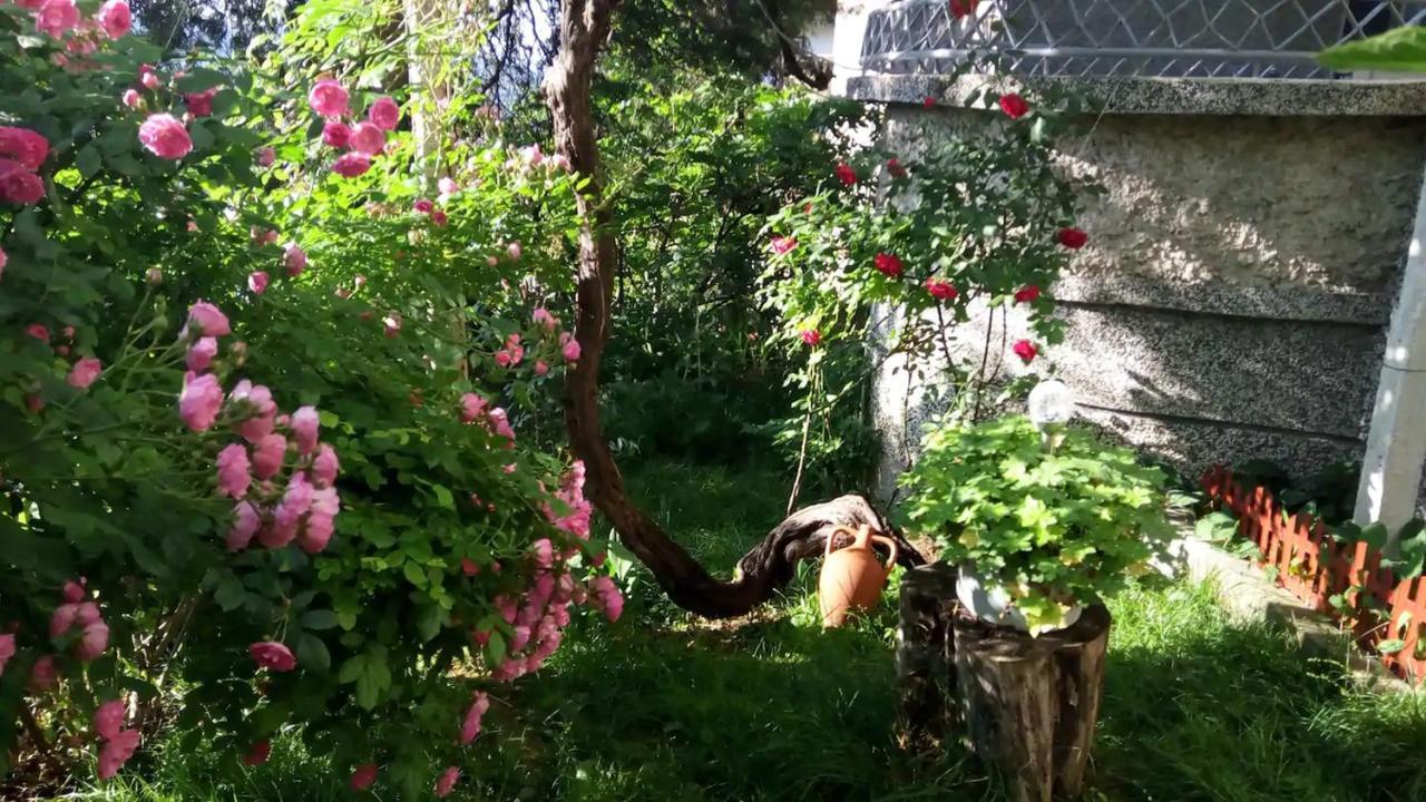 Belivanovi B&B House فيليكو ترنوفو المظهر الخارجي الصورة