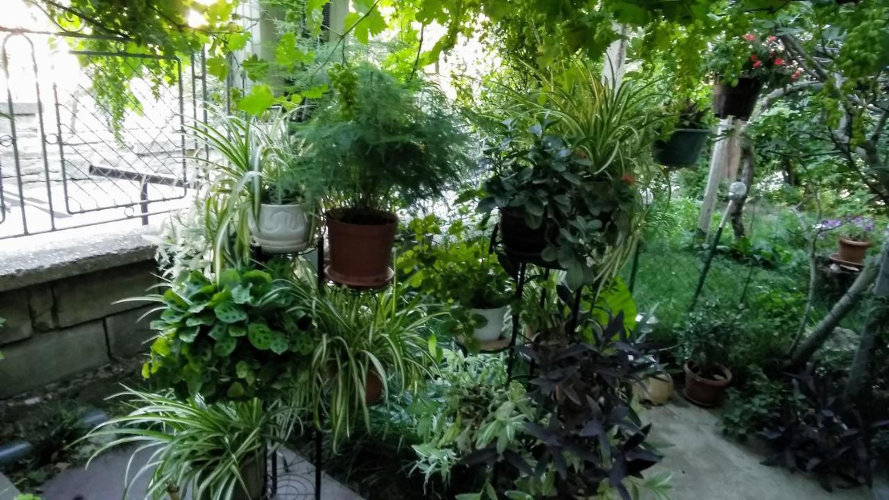 Belivanovi B&B House فيليكو ترنوفو المظهر الخارجي الصورة